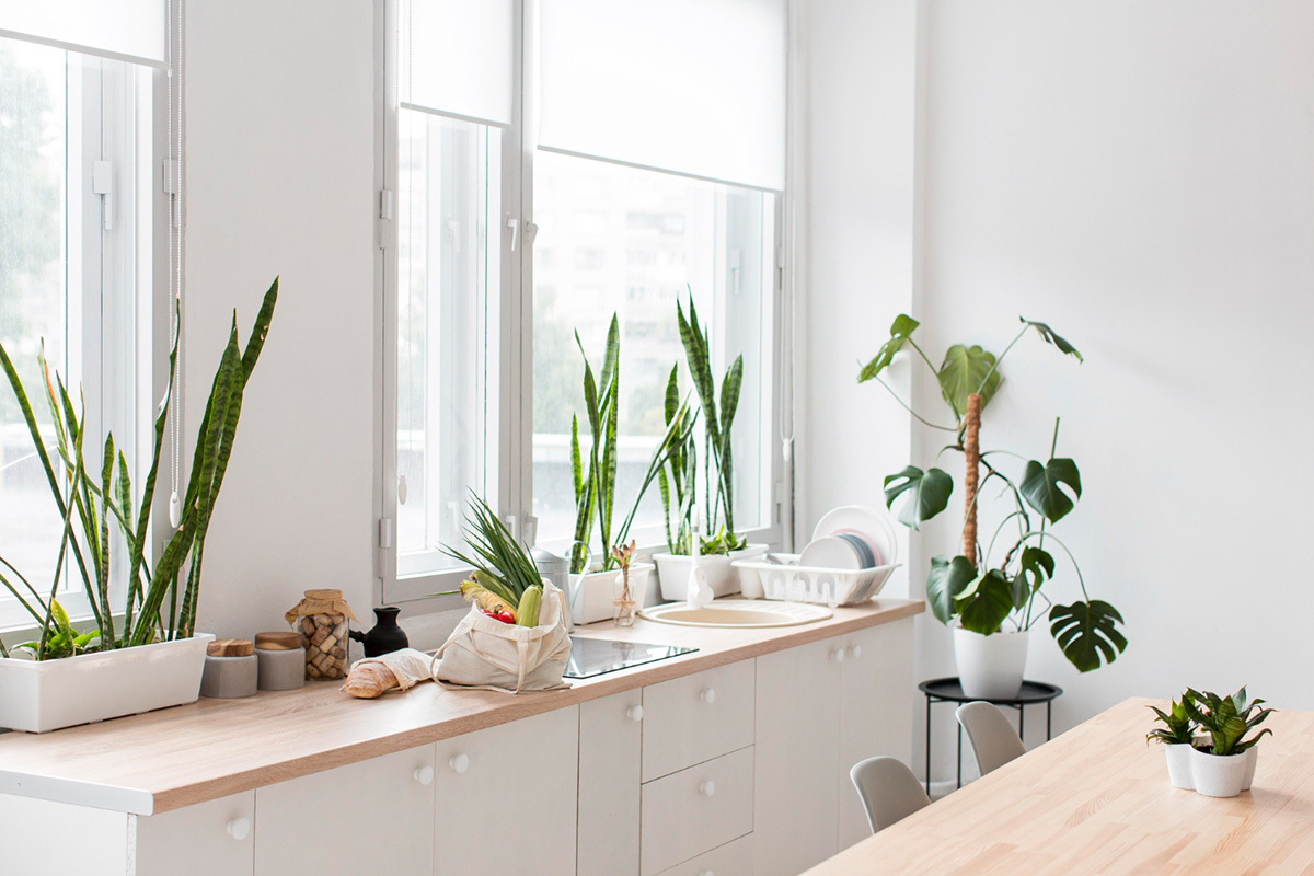 Sustainable Kitchen Ideas You'll Love